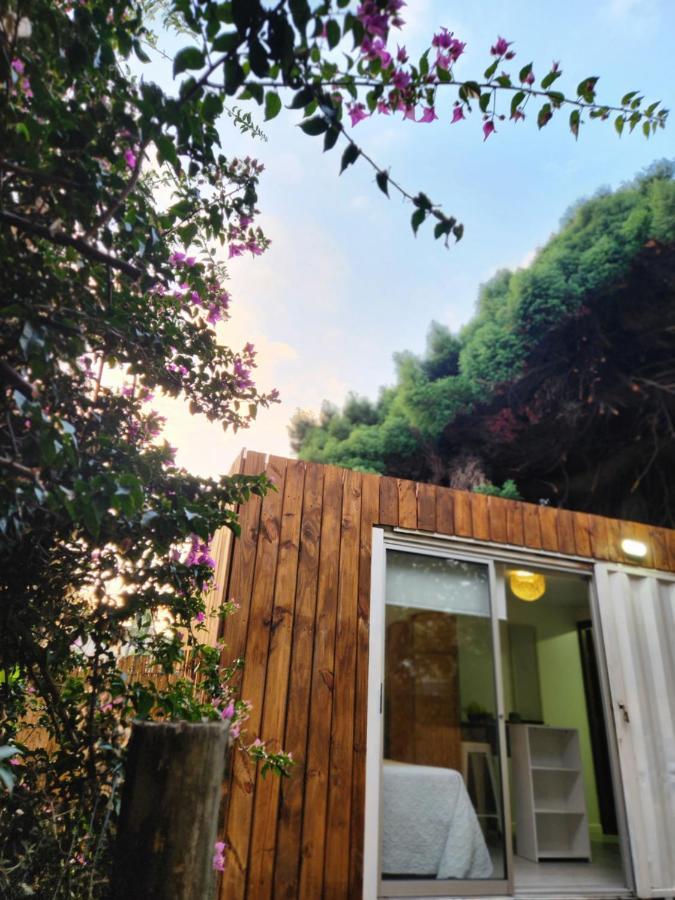 Casa L Hotel I Πούντα ντελ Έστε Εξωτερικό φωτογραφία